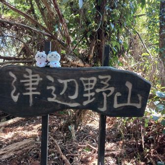津辺野山登頂⛰️✨