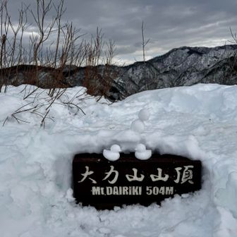 アヒルちゃん作ってみました