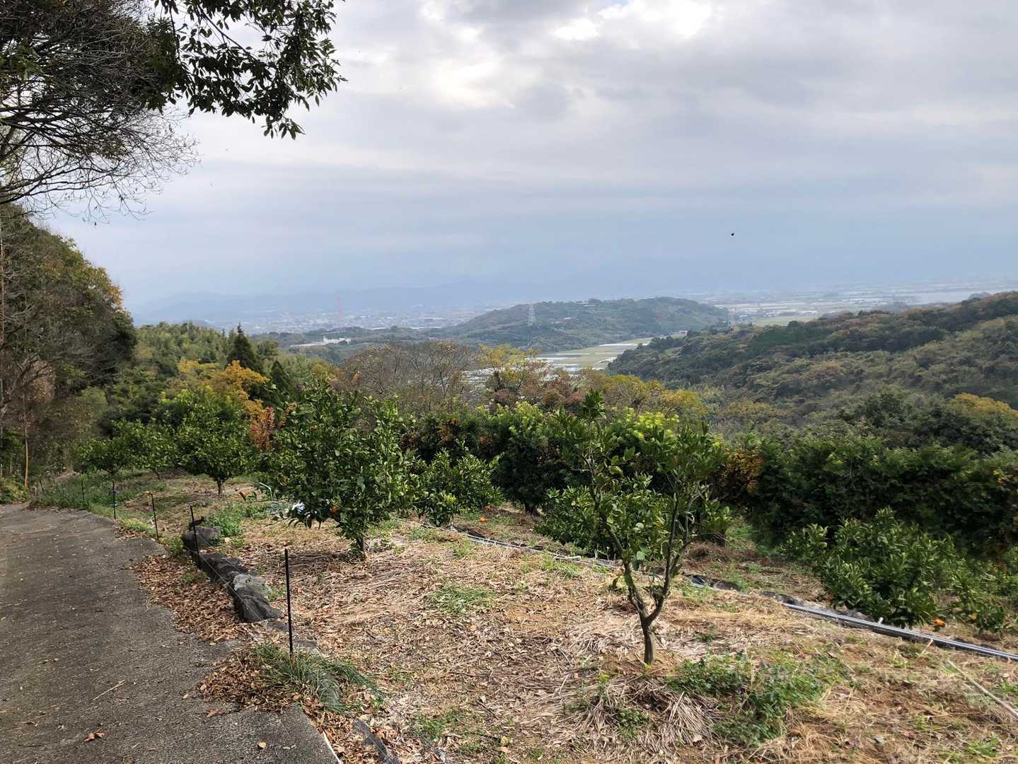 あまり登っていないのに高度感ある景色に気持ちがほぐれる☺️