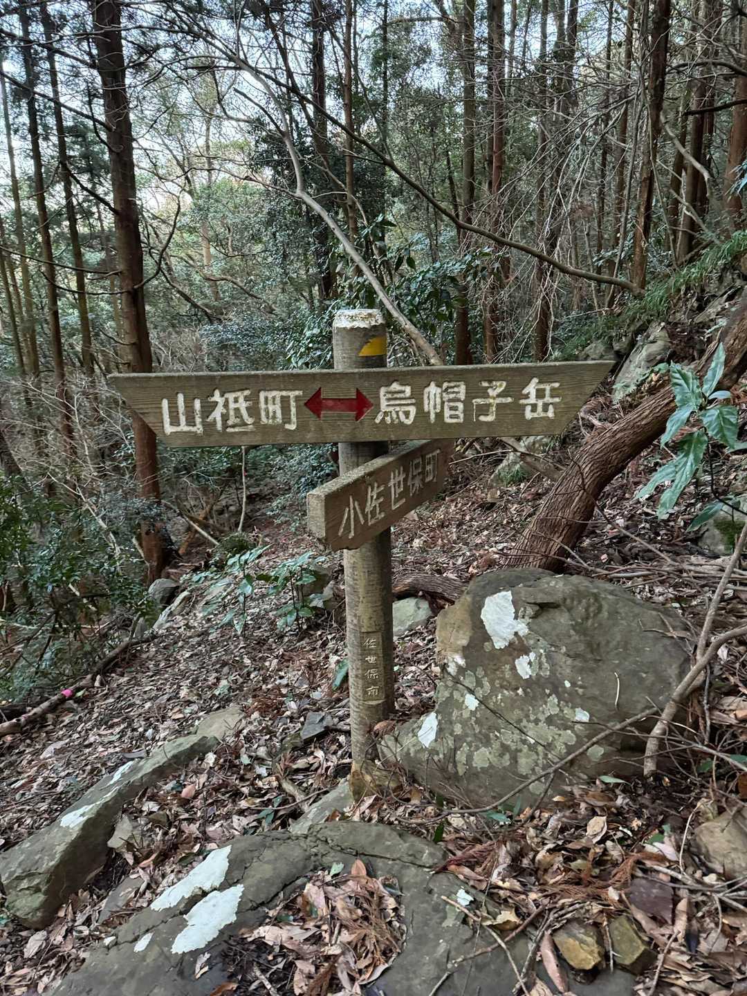 烏帽子岳 往復コースの写真