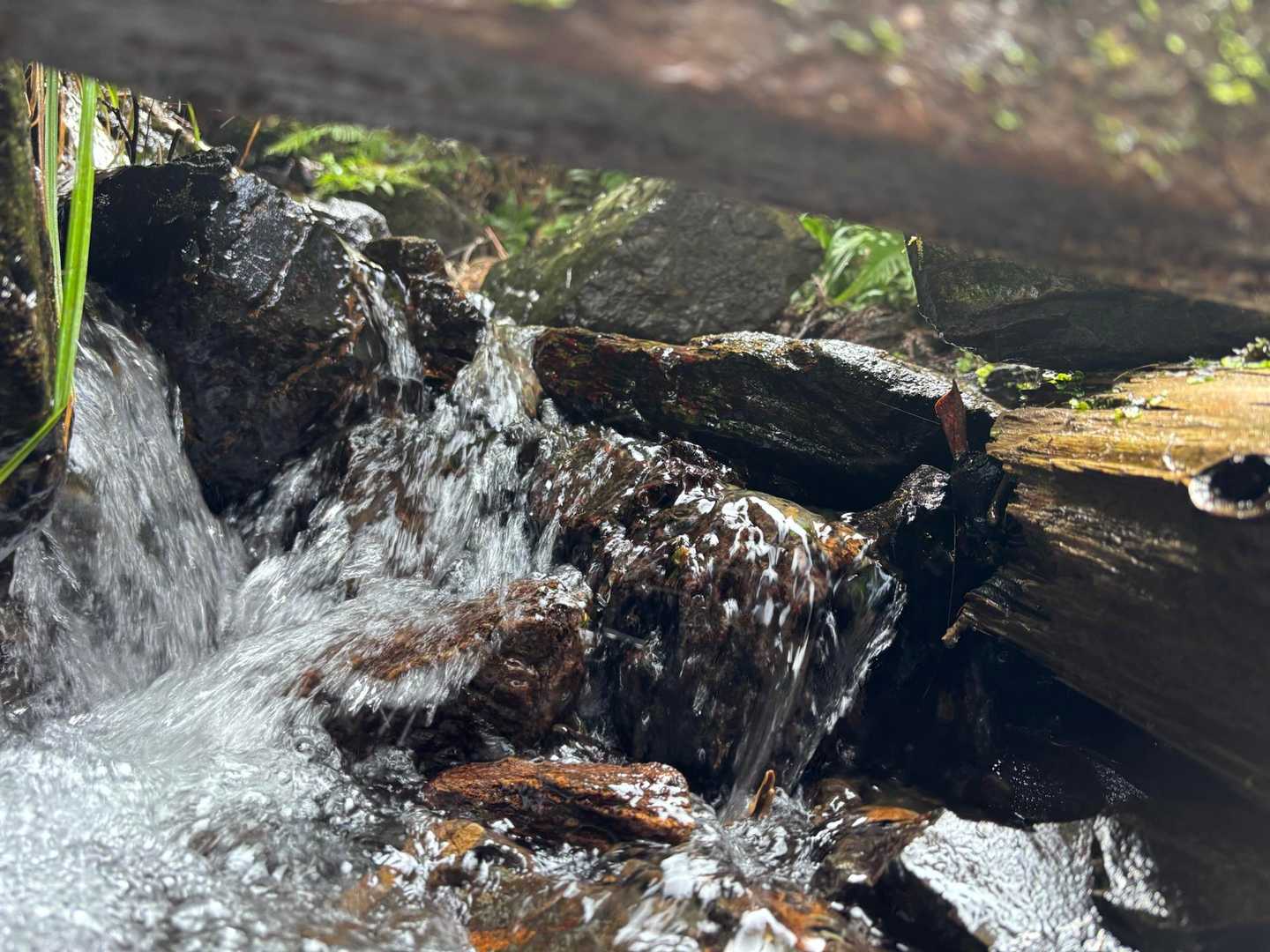 敦賀富士と称される三山の盟主、栃ノ木地蔵の名水を経て敦賀湾を一望の写真