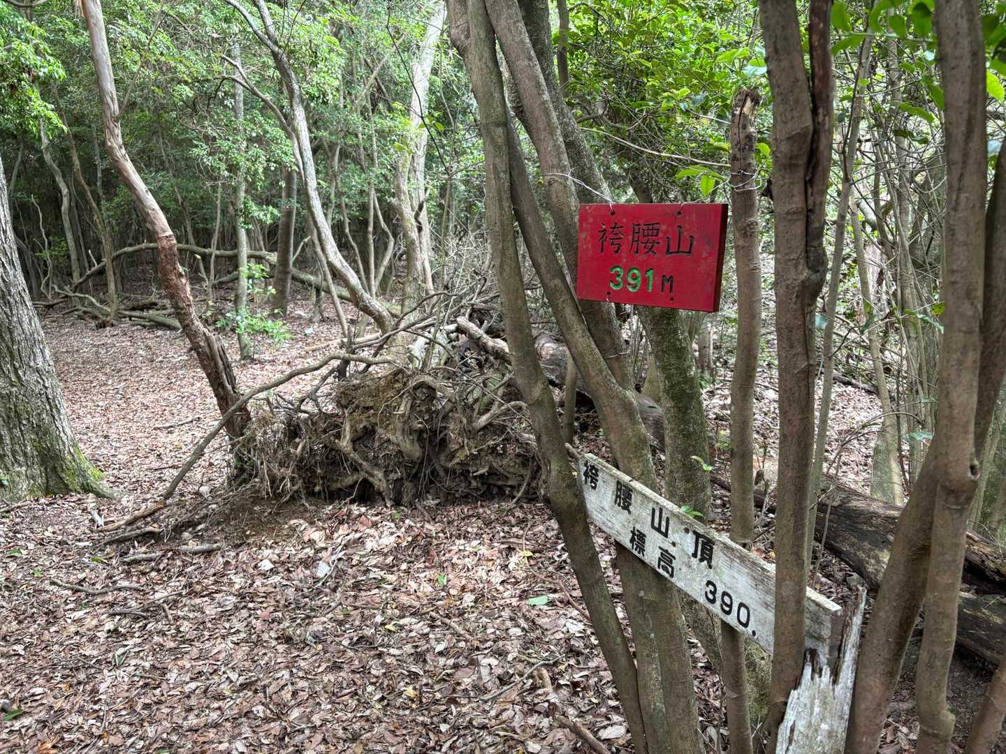 立木山-袴腰山 往復コースの写真