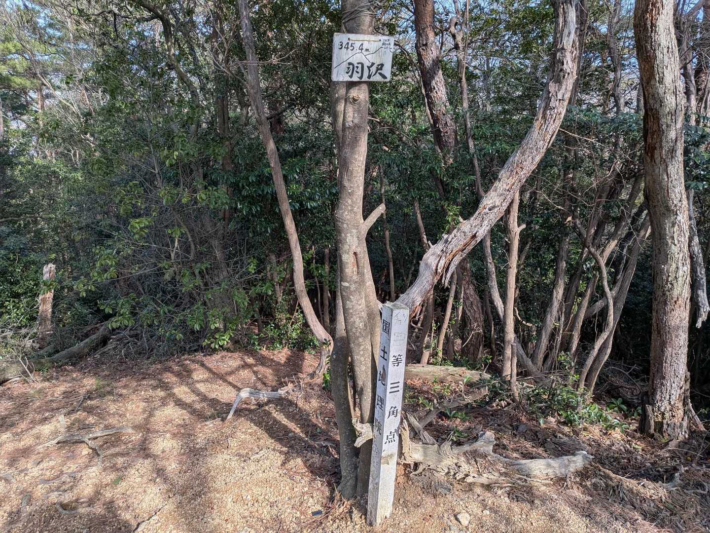 羽沢 往復コースの写真