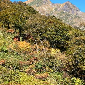 山頂はネコの耳にみえるトマノ耳、オキノ耳
の双耳峯