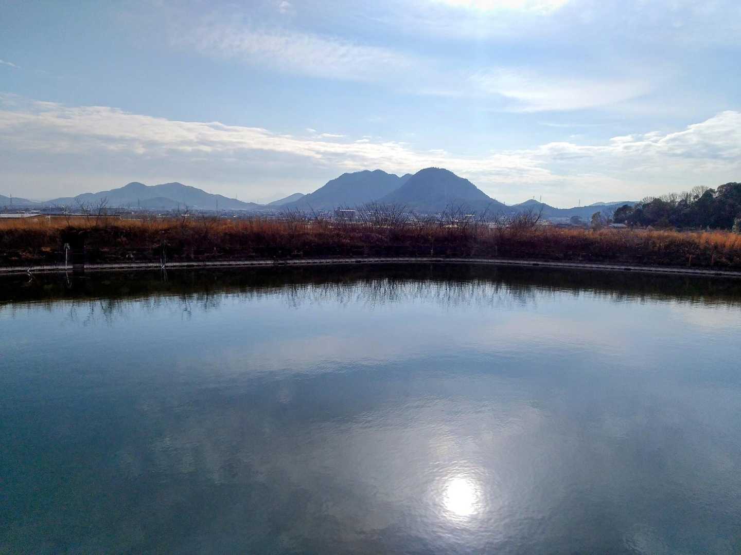 降りた公園の池から