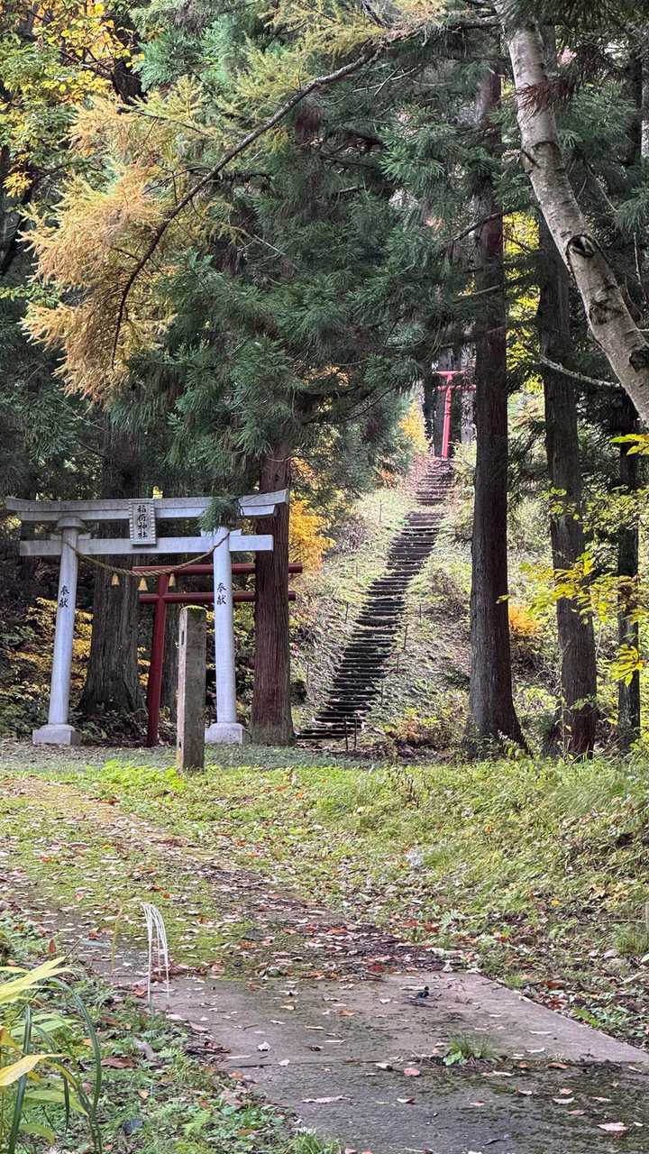 あまとみトレイル#2（戸隠キャンプ場〜苗名の滝〜野尻湖〜斑尾山※迂回区間有）、完走？ の写真 63