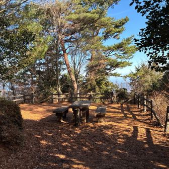 ベンチがあるのでここでランチだ