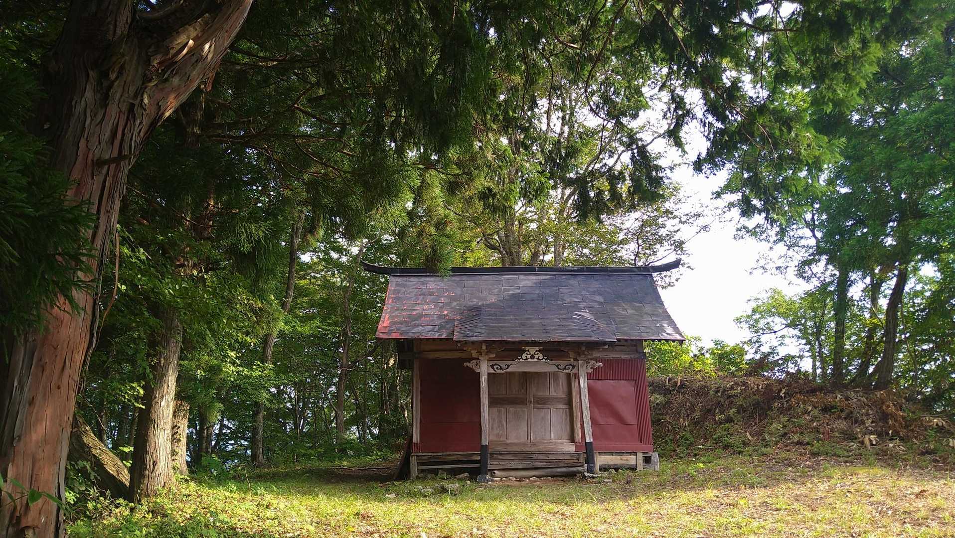距離は短いけどキッツイキッツイ急登の先にあった山頂神社⛩️
久々に帽子から汗が滴り落ちた🥵