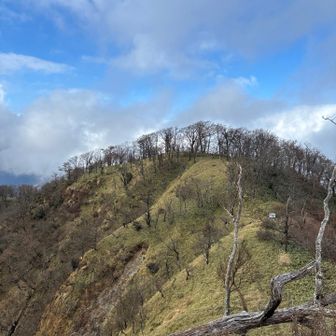 檜洞丸から犬越路までのルートは細くアップダウン多いです
気をつければ問題ないと思います🙆