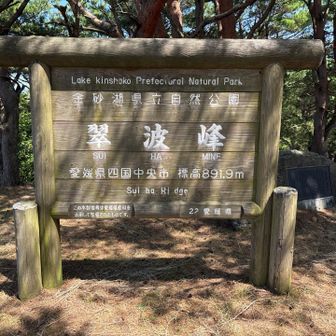 翠波峰頂上
ベンチあります