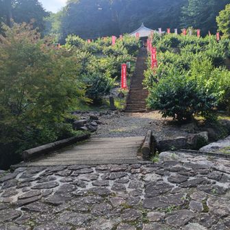 清水寺　登山後登る気力湧かずw