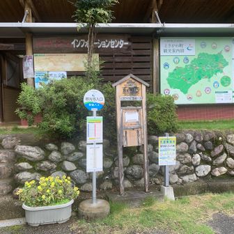 慈光寺入口バス停でゴーーール！！！

1358発のときがわ町営バスに間に合いました！
（これを逃すと２時間後）