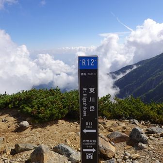 東川岳
後程、スライドした方が百高山にチャレンジ中の方で、中央アルプスには6座の百高山があるそうです。
で、この東川岳もその一座