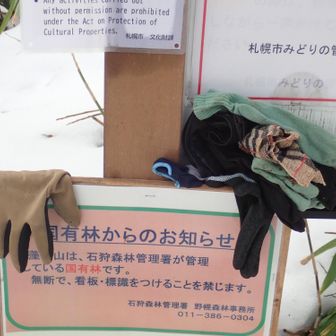 落とし物・忘れ物が一杯