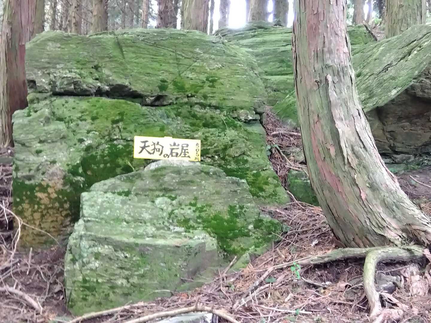 良い感じの岩でした。