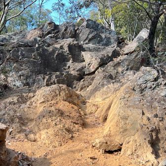 漢らしい✨️
ん？なんで岩って男らしいの。強そうだから？