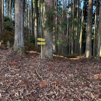 雲取北峰によります