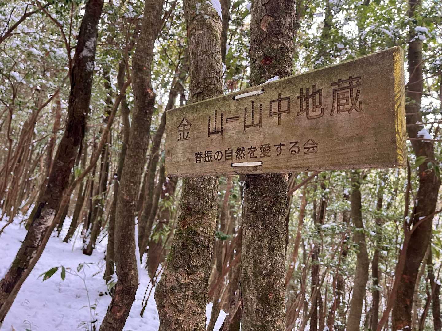 金山 往復コースの写真