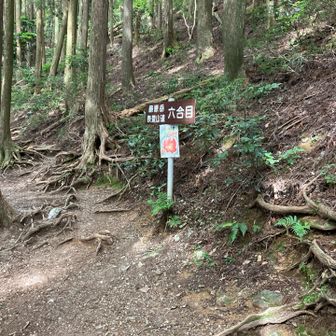 まだ六？呼吸は落ち着いてきた