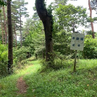 案内看板が沢山ある