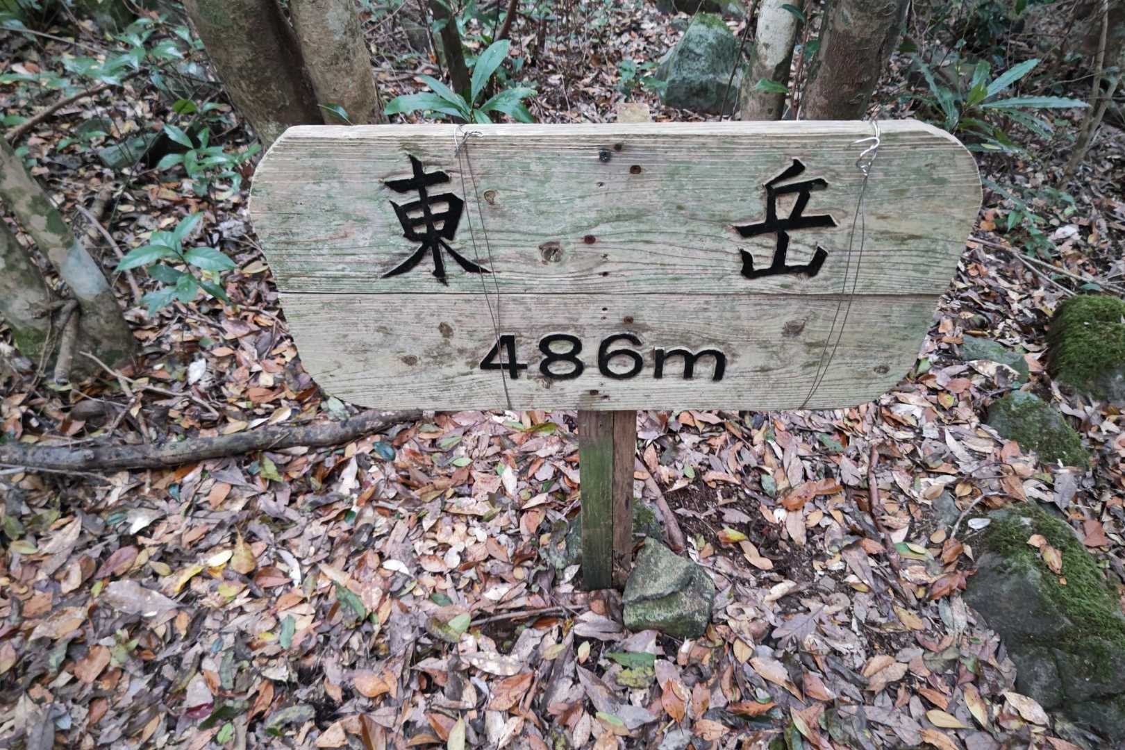 東岳到着👍
眺望はありません😅