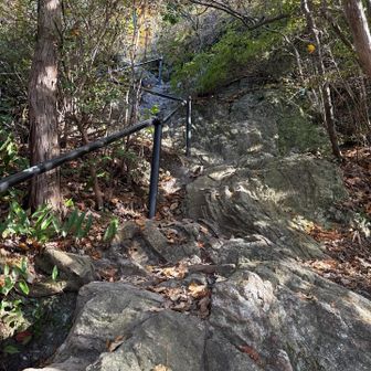 どんどん急登に。手すりがあって有難いです