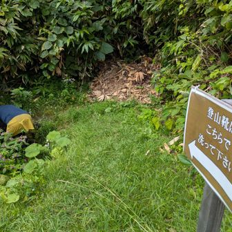靴洗い場出来てました