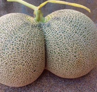 メロメロメロン