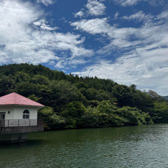 青と緑