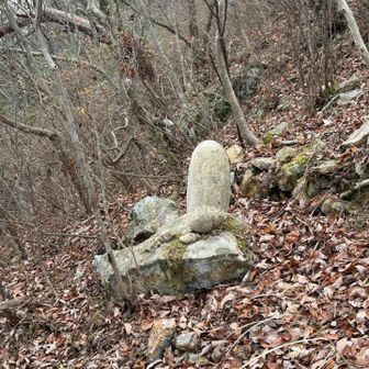 🪨さん、今年一年ありがとうございました🙇🏼