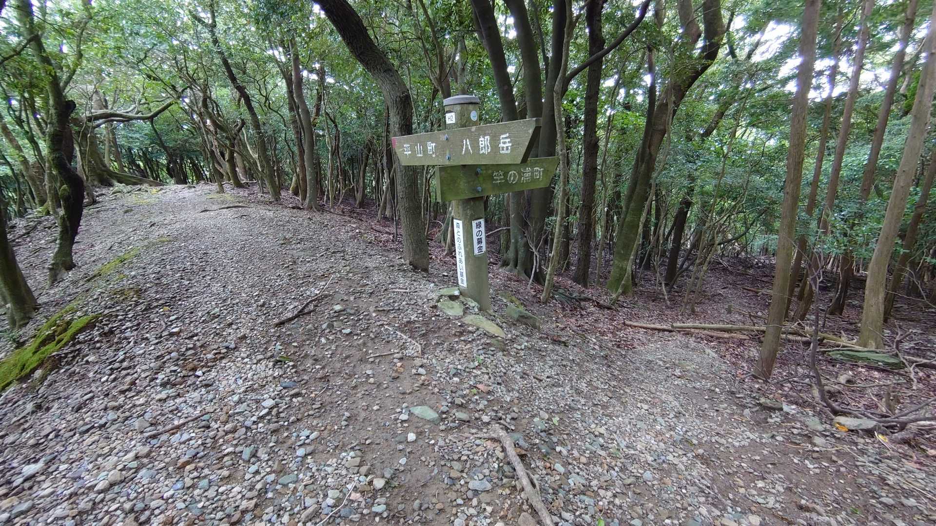 竿浦町への分岐がある。