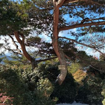 伊勢辻山山頂に到着