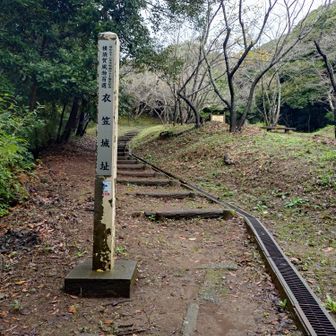 足を引きずってきたことを思い出す
あの時より草が刈られてスッキリしている