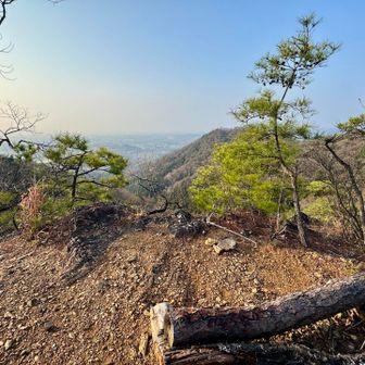 登ると眺めいいー