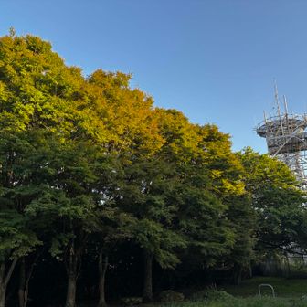 権現山の紅葉はまだまだ先ですね〜🍁