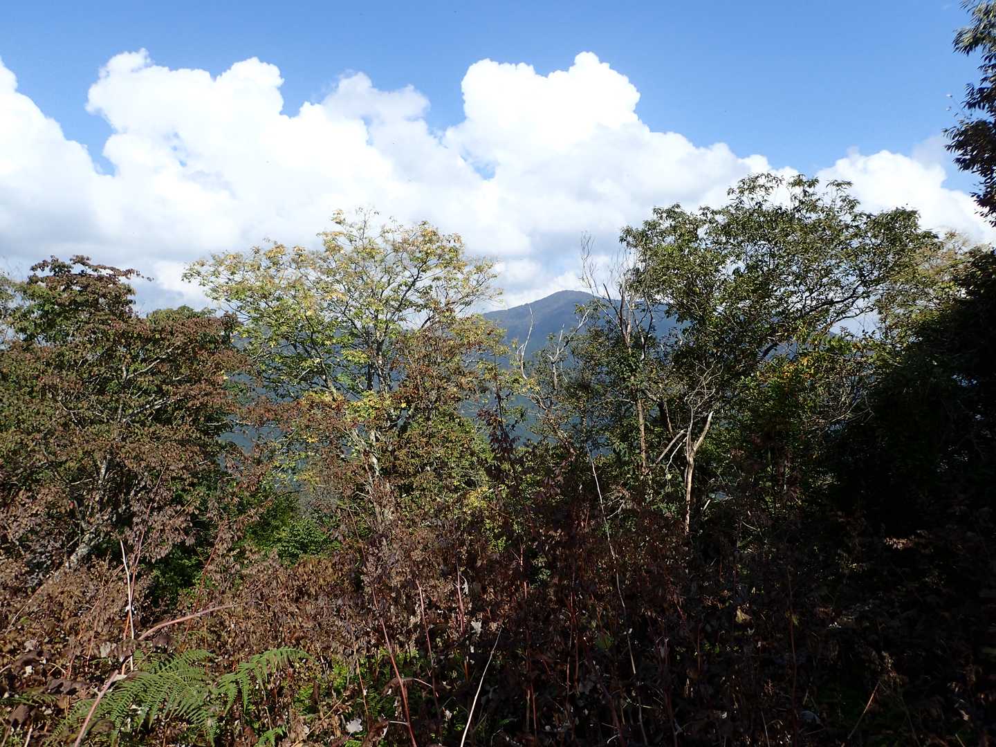 妙見山