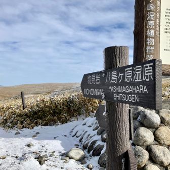 きょうは車山ではなく、車山湿原の反対側、蝶々深山へ。