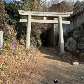 白雲橋登山口
山友さんの師匠様のアドバイスで反時計回り🔄で行って来ました