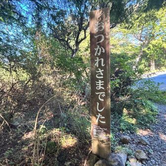 なかなか下りは大変でした。この看板に癒された😌久しぶり左膝が痛くなりペースダウン。夫は終始元気😄全然疲れてないと😅
