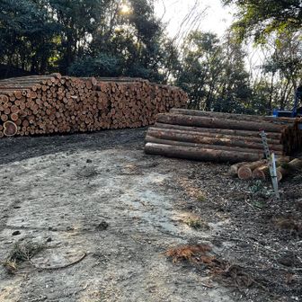 あとは降るだけ〜