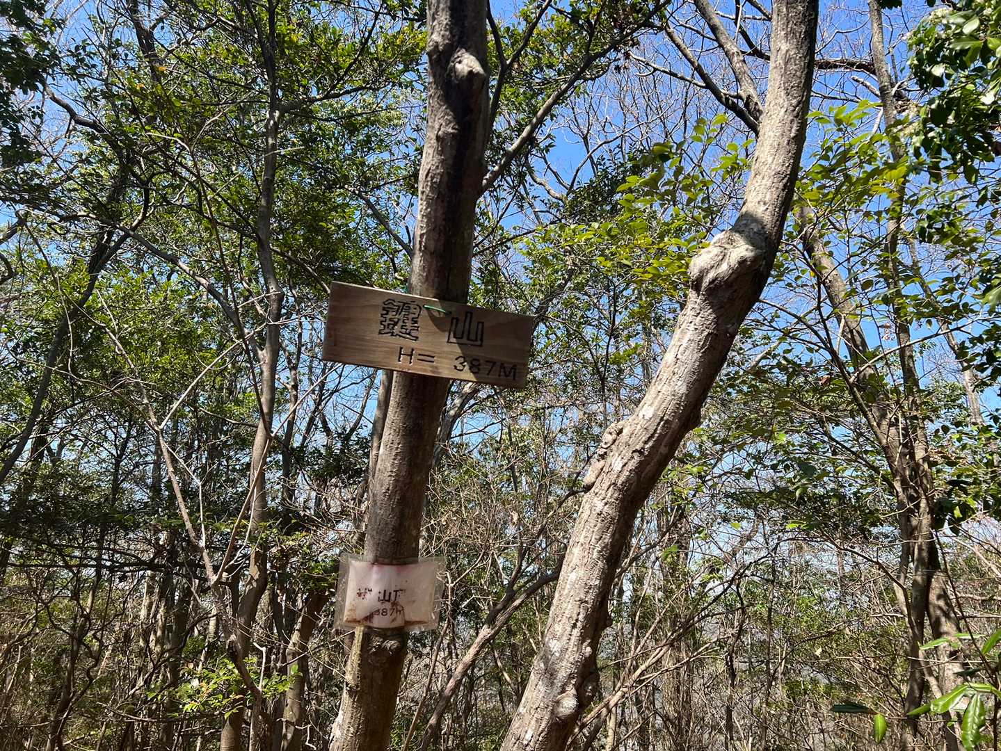 鍵山山頂！眺望なーし