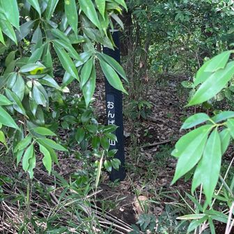 おんばく山の山標あったーー！道からかなり奥まったところにあります