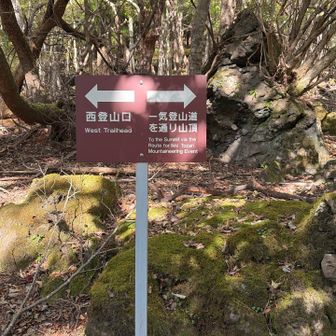 ⬅️西登山口へ　　一気登山道へは行きませんでした😆