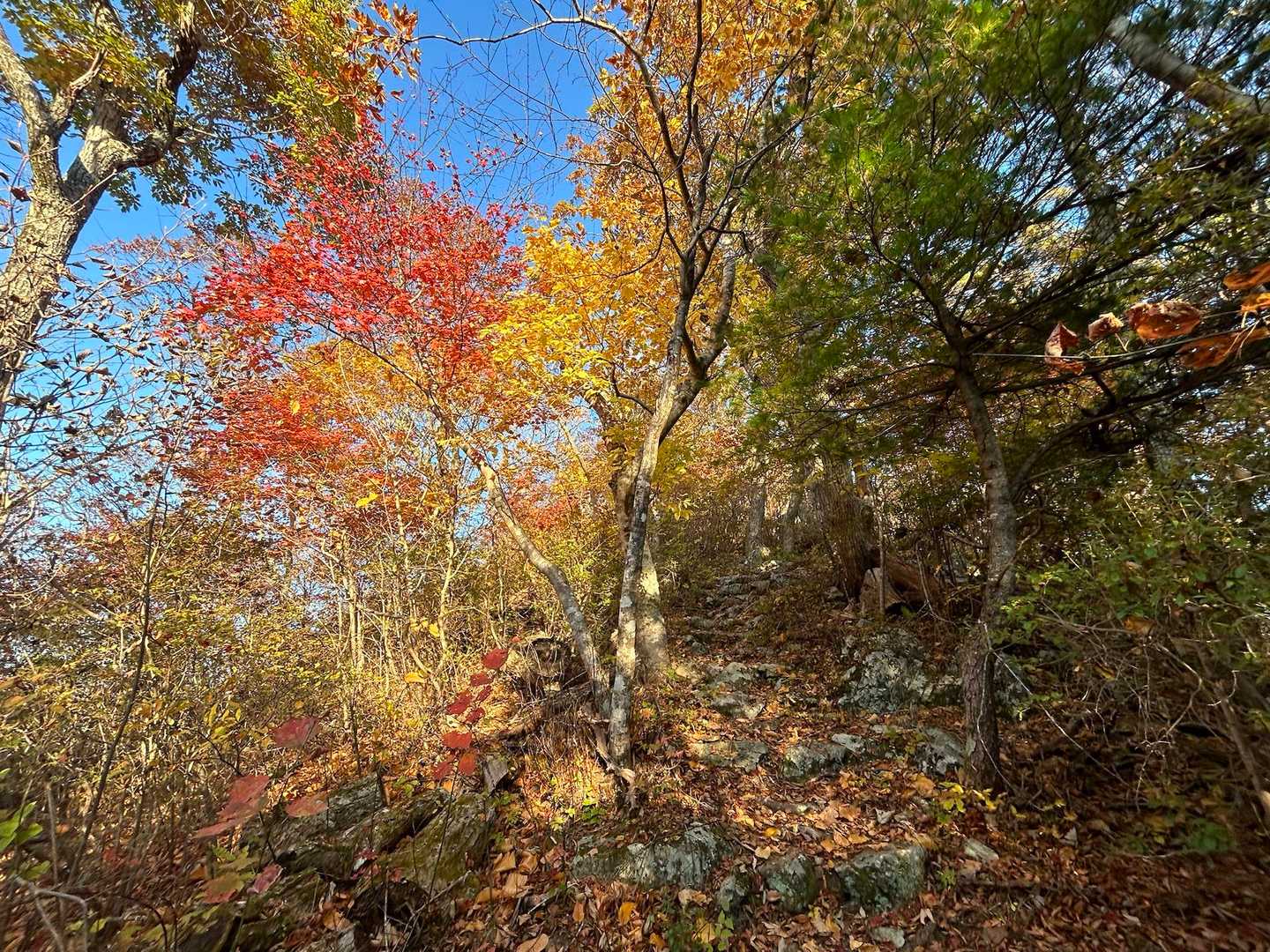 戻りに良かったところ。