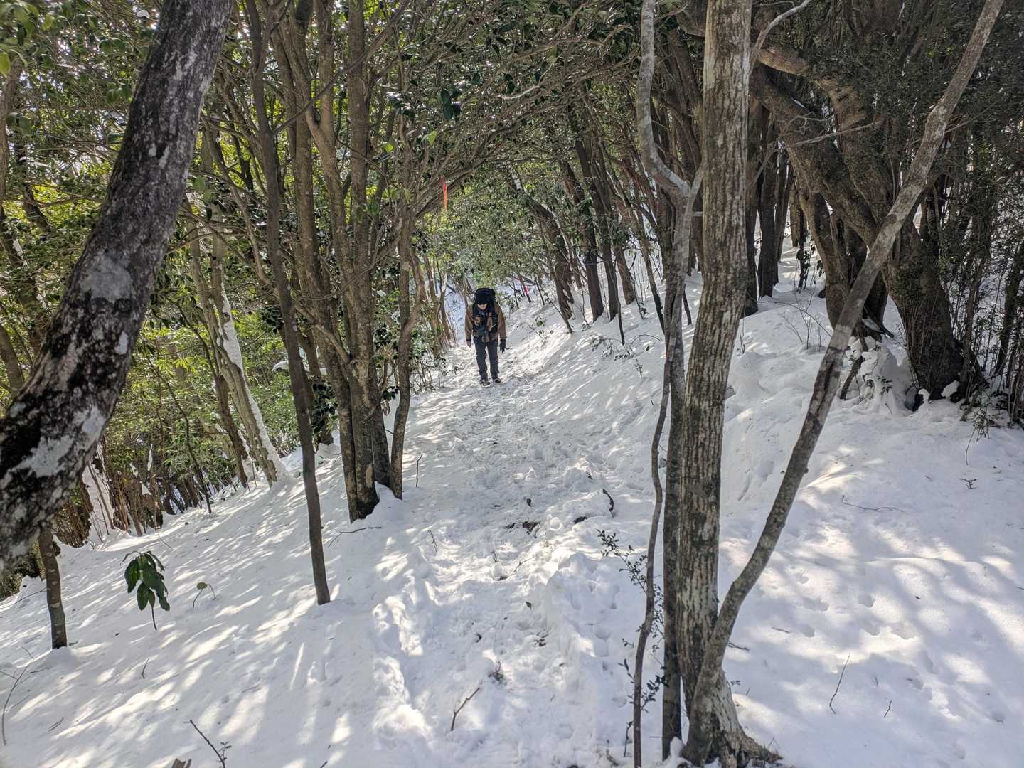 舞岳・経ヶ岳登山口-舞岳-経ヶ岳 周回コースの写真