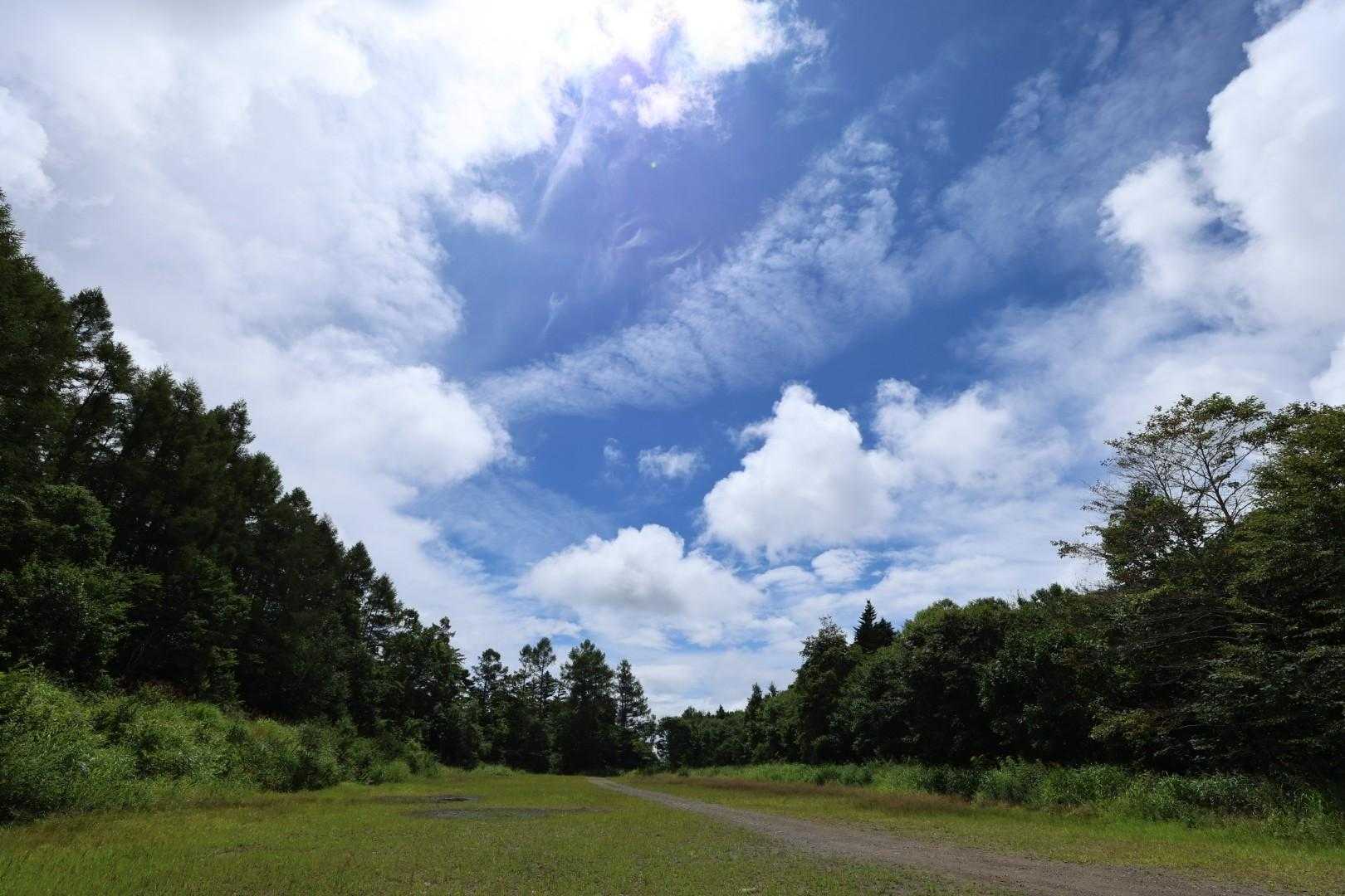 瑪瑙山 周回コースの写真