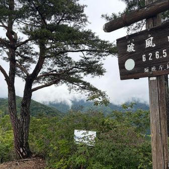 それでは、安全第一で駐車場まで下山します！