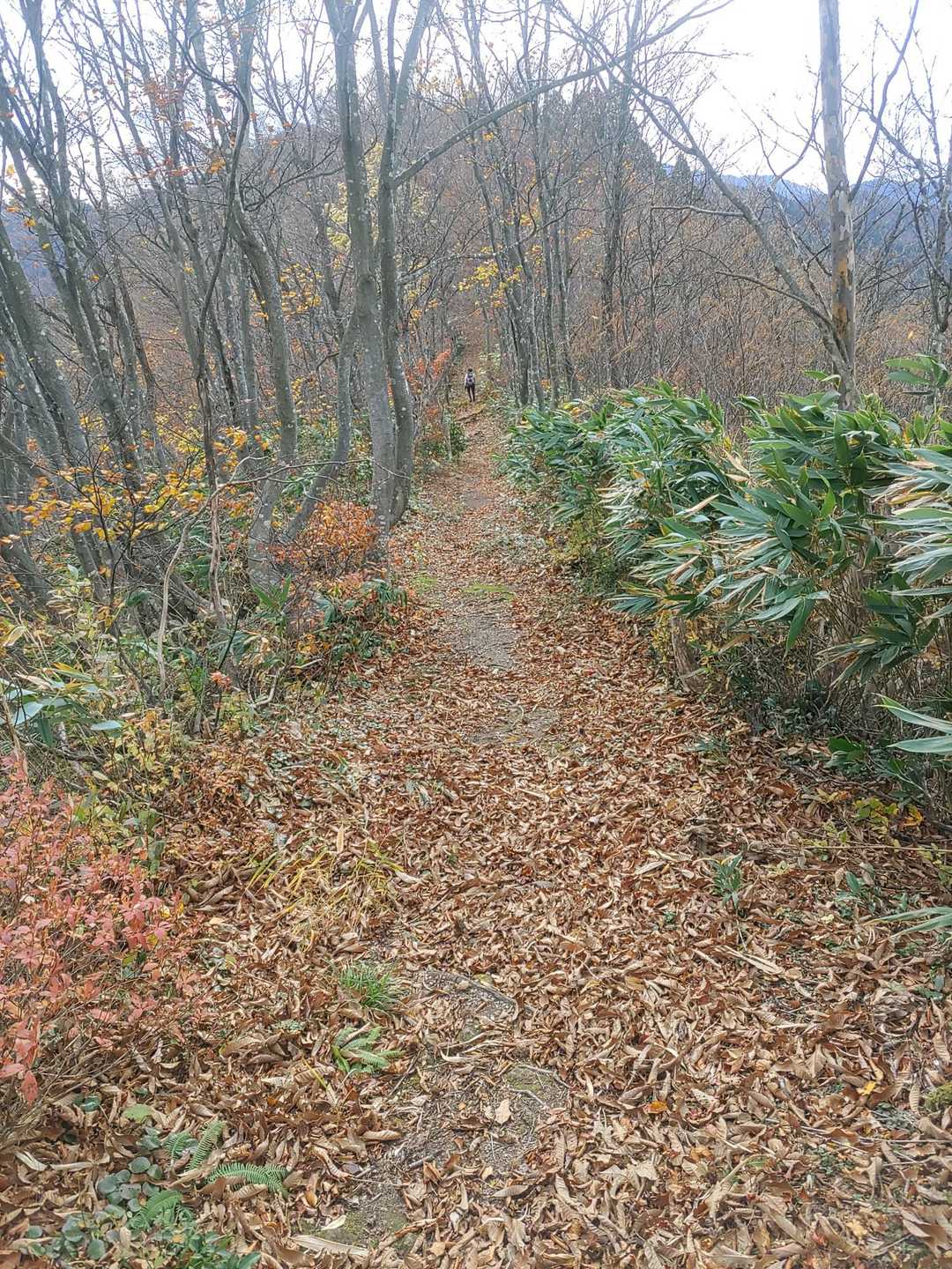 風さえなければ、気持ち良く歩けます。
