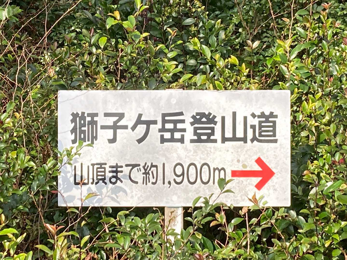 スタートします