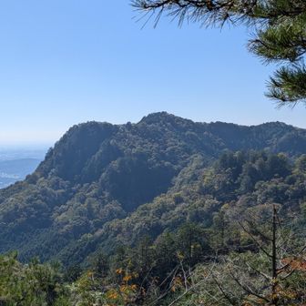 中尾根ルートからの古賀志山、左端は東陵の岩稜です。本日の下山ルートはここをおります